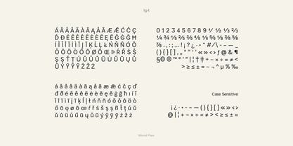 Minval Flare Font Poster 13