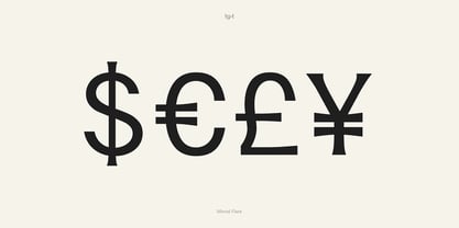 Minval Flare Font Poster 5
