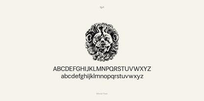 Minval Flare Font Poster 2