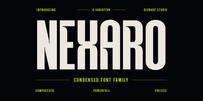 Nexaro Font Poster 1