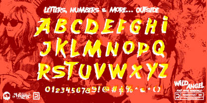 Wild Angel 667 Font Poster 10