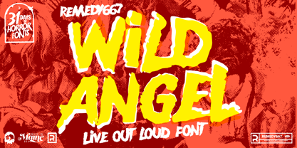 Wild Angel 667 Font Poster 1