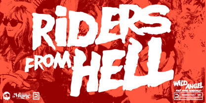 Wild Angel 667 Font Poster 6