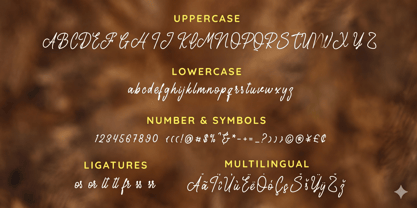 Texas Casual Font Poster 4