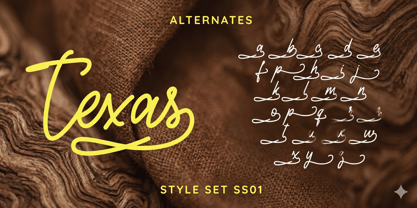 Texas Casual Font Poster 5