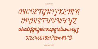 Volley Font Poster 6