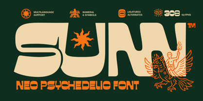 Fd Sunn Font Poster 1