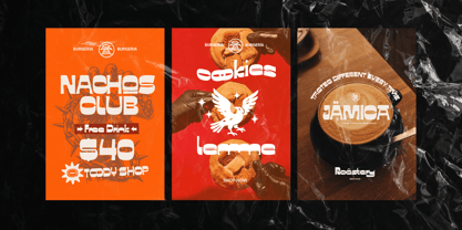 Fd Sunn Font Poster 7