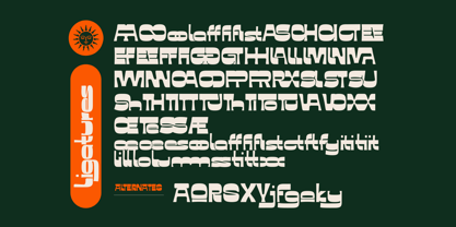 Fd Sunn Font Poster 4
