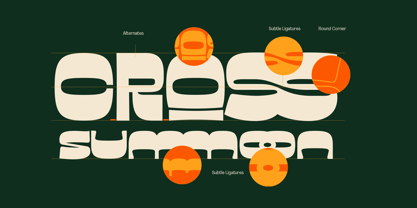 Fd Sunn Font Poster 5