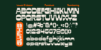 Fd Sunn Font Poster 3