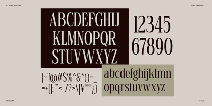 Linneva Font Poster 9
