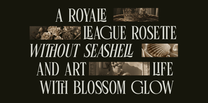 Linneva Font Poster 6