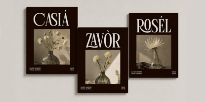 Linneva Font Poster 8