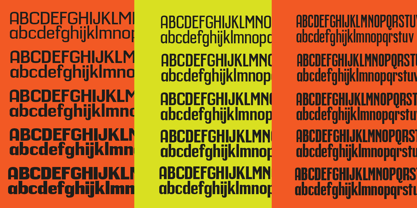 Calenza Font Poster 3