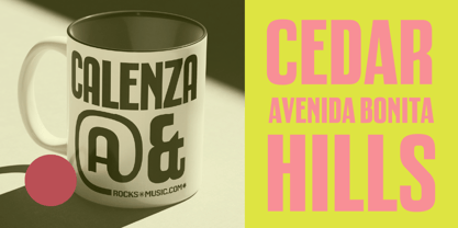 Calenza Font Poster 13