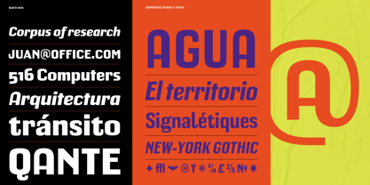 Calenza Font Poster 8