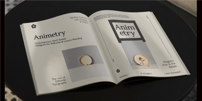Animetry Font Poster 11