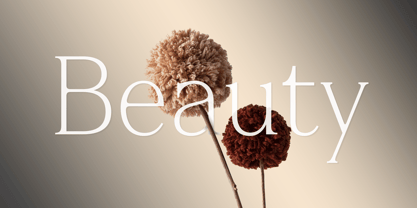 Animetry Font Poster 6