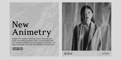 Animetry Font Poster 4
