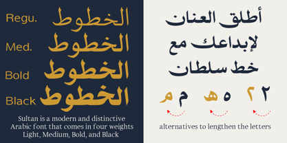 SF Sultan Font Poster 5