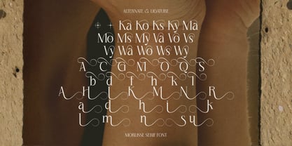 Morlisse Font Poster 6