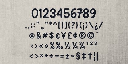 Panther Brush Font Poster 11