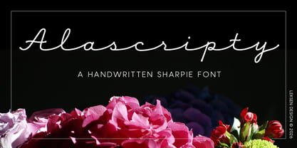 Alascripty Font Poster 1