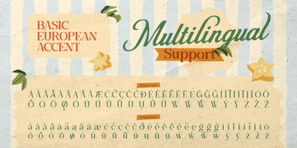 Rolane Font Poster 11