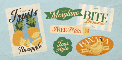 Rolane Font Poster 10