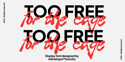 Hella Punk Font Poster 5