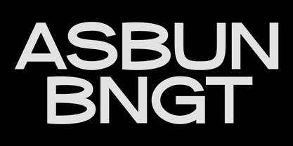 Struxgle Font Poster 2