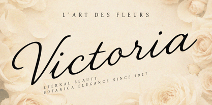 Secret Cantena Font Poster 11