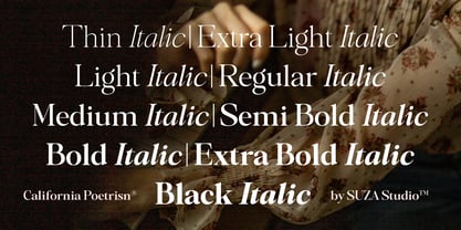 California Poetrisn Font Poster 2
