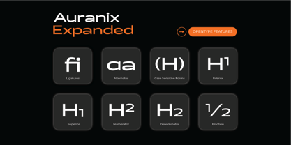 Auranix Expanded Font Poster 6