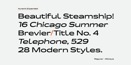 Auranix Expanded Font Poster 7