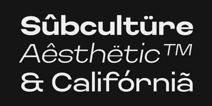 Finlado Font Poster 5