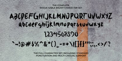 Rogue Sable Brush Font Poster 5