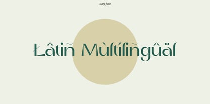 Mary June Font Poster 11