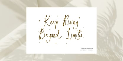 Wildflower Notes Font Poster 2