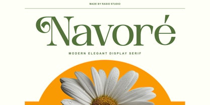 Navore Font Poster 1