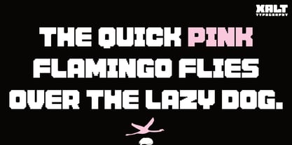Pixel Hype Font Poster 2