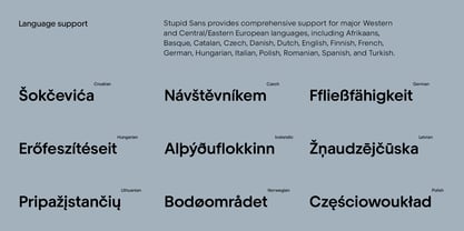 Stupid Sans Font Poster 11