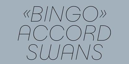 Stupid Sans Font Poster 7