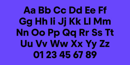 Stupid Sans Font Poster 10