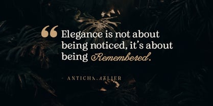 Anticha Atelier Font Poster 7