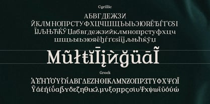 Anticha Atelier Font Poster 8