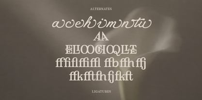 Anticha Atelier Font Poster 9
