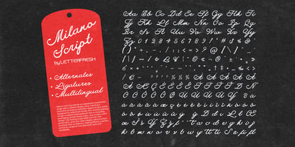 Milano Editorial Vintage Script Font Poster 12