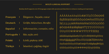 TC Bombay Serif Font Poster 4